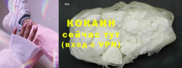 стаф Белокуриха