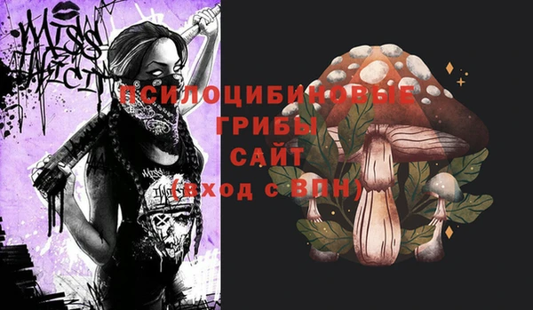 ГАЛЛЮЦИНОГЕННЫЕ ГРИБЫ Беломорск