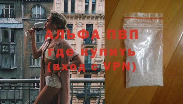 стаф Белокуриха