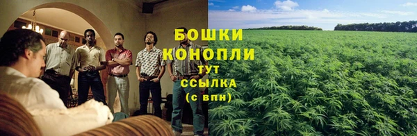 стаф Белокуриха