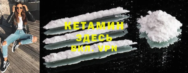 стаф Белокуриха