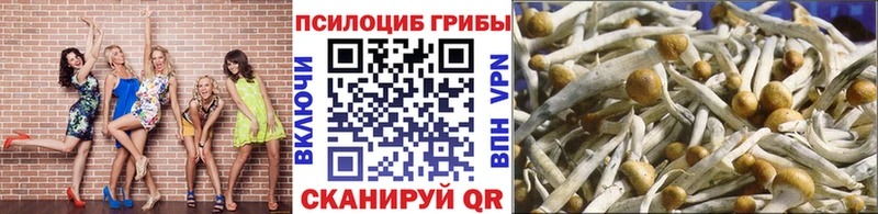 Псилоцибиновые грибы GOLDEN TEACHER  Гулькевичи 