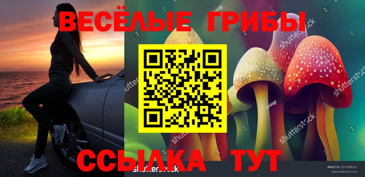 Псилоцибиновые грибы ЛСД Гулькевичи
