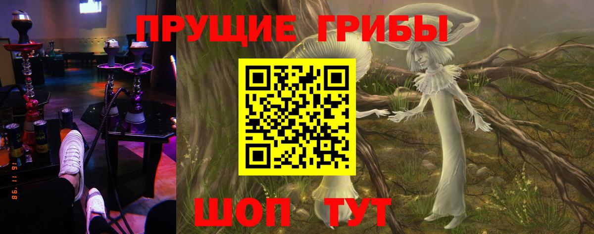 Галлюциногенные грибы мицелий  Галлюциногенные грибы мицелий  Вход с VPN  Гулькевичи 